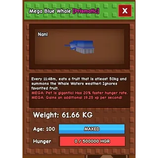 61kg MEGA BLUE WHALE GAG