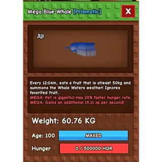 60kg MEGA BLUE WHALE GAG