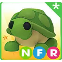 NFR Turtle
