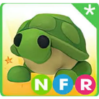 NFR Turtle