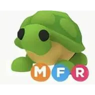 MFR Turtle