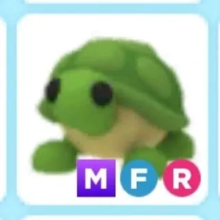 MFR Turtle