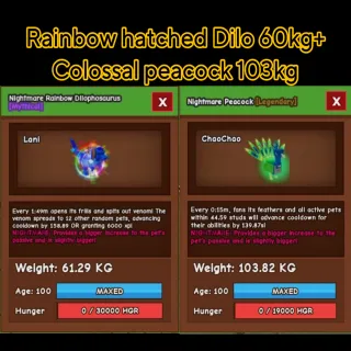 RBH Dilo 61kg + Colossal Peacock 103kg 