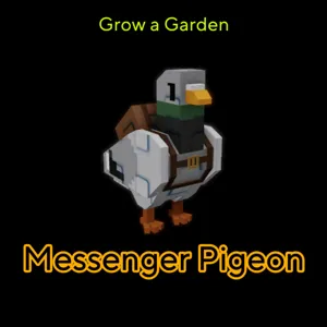Messenger Pigeon