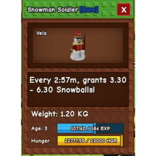 Snowman Soldier