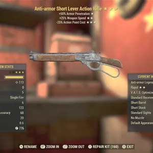 AA/25/25 Lever Action