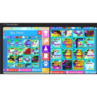 Bundle for TBscheme