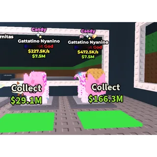 dual candy Gattatino - SAB