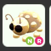 Neon R Golden Ladybug