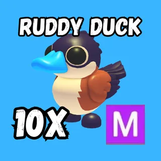 10X MEGA RUDDY DUCK Adopt Me