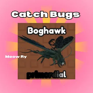 Catch Bugs | Boghawk