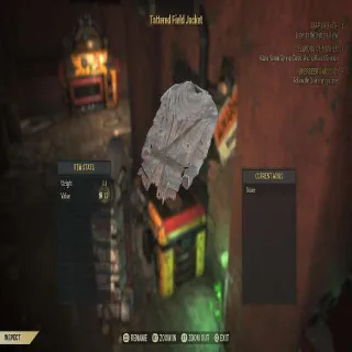 Rare Apparel/Weapon/Armor Bundle