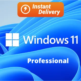 Windows 11 Professional