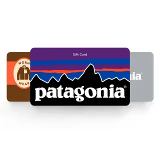 $150.00 USD Patagonia