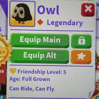 Owl