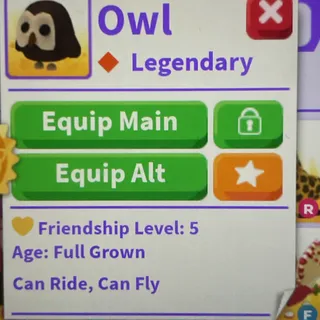 Owl