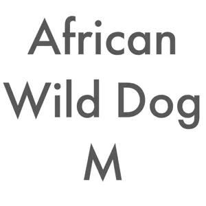 African Wild Dog M