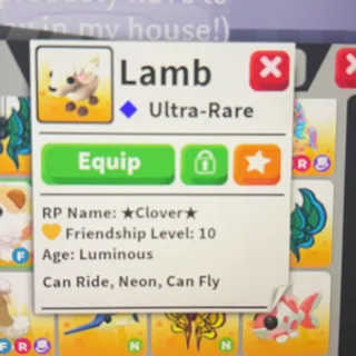 Nfr lamb