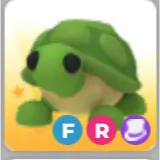 FR Turtle