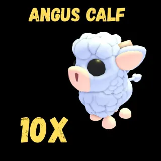  ANGUS calf 10X _ adopt me