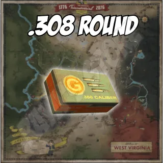 .308 Round [50k]