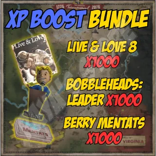 XP Boost Bundle x1000