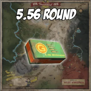 5.56 Round [25k]