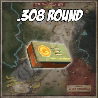.308 Round [50k]