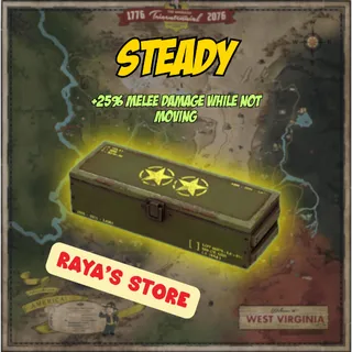 Steady Mod x5