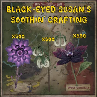 3x500 Black-Eyed Susan's Soothin' Crafting Materials