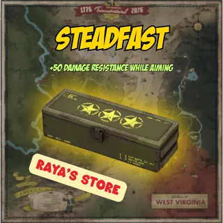 Steadfast Mod x5