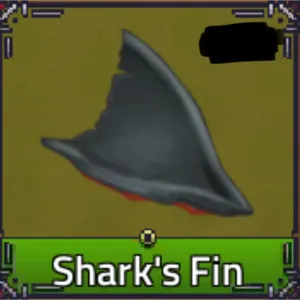 20x Sharks fin