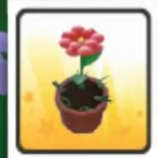 Growing Flower Hat