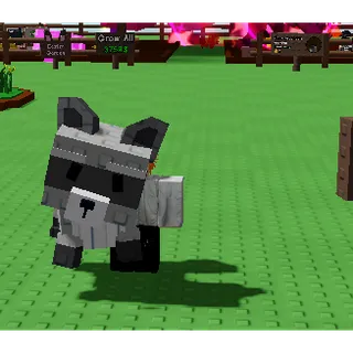 2x racoon