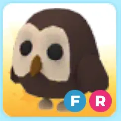 FR OWL