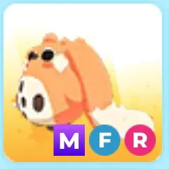 MFR CABBIT ADOPT ME