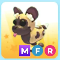 MFR AFRICAN WILD DOG