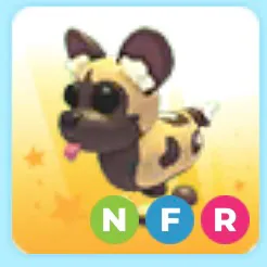 NFR AFRICAN WILD DOG
