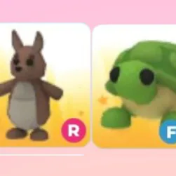 R KANGAROO FR TURTLE