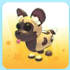 NP AFRICAN WILD DOG