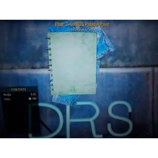 10X T60 PALADIN PAINT