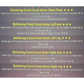 bolstering forest scout set