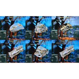 VANGUARD WWR X01 SET 1AP