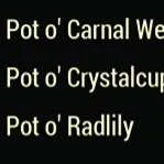 all 3 pot o' flowers