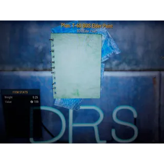 T-60 BOS ELDER PAINT PLAN