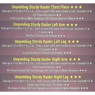 unyielding sturdy raider armors set