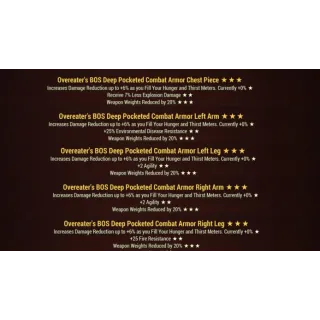 overeater wwr combat armor set