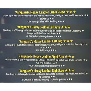 vanguard heavy leather armor set