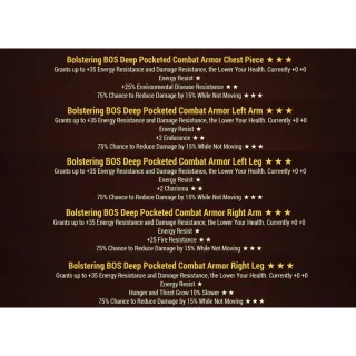 bolstering sentinel combat armor set