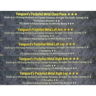 vanguard sentinel metal armor set